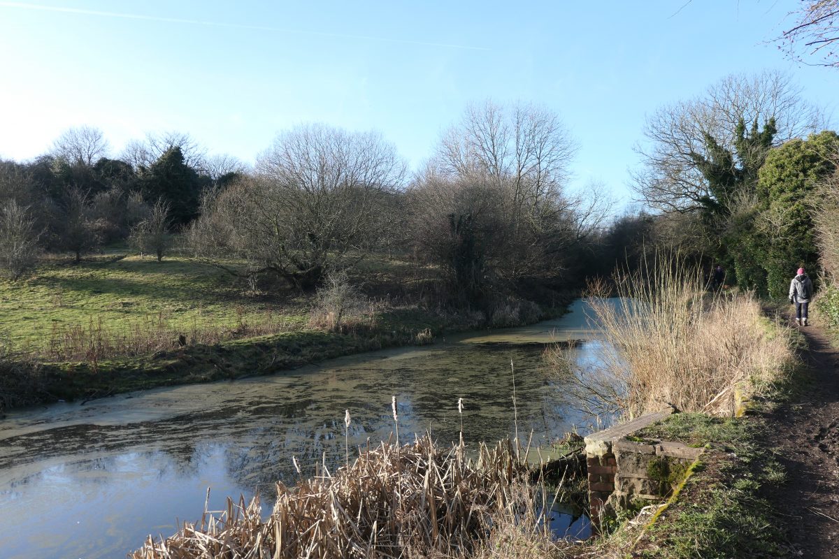 Barnsley Canal and Wilthorpe Marsh Barnsley Nats