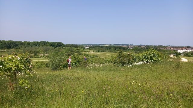 View of Phoenix Park on our field visit